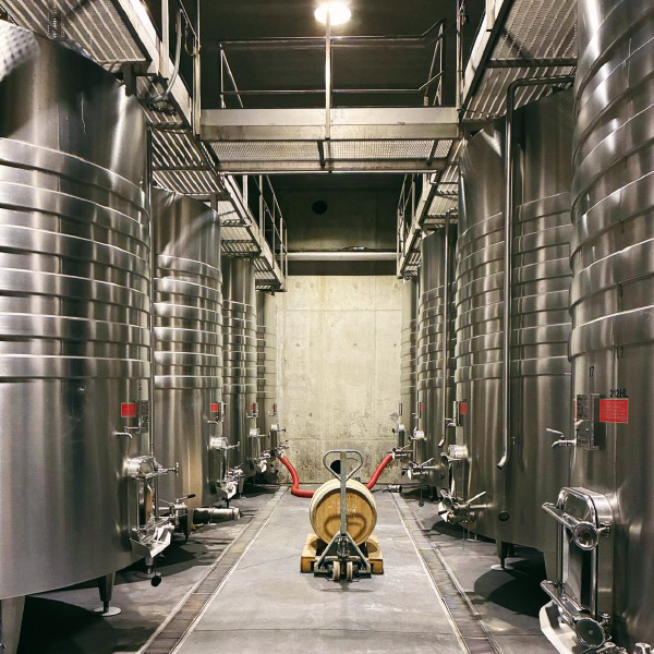 Chateau Mont-Redon Cellar